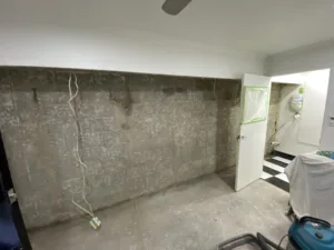 Read more about the article Combating Mould and Mildew in Damp Basements